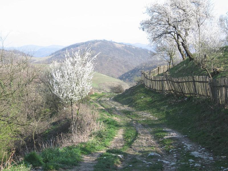 01za-vsi.jpg - Polní cesta k Dunaji do údolí potoka Alibeg